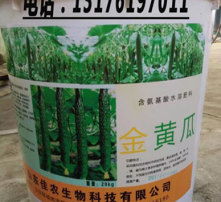 高清圖片展示生物質(zhì)能技術(shù)服務(wù) 綠色能源的未來藍(lán)圖