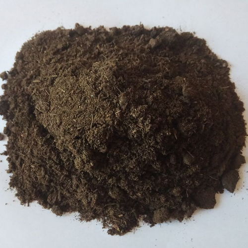 葡萄施發(fā)酵牛糞有機(jī)肥的合理應(yīng)用與生物有機(jī)肥料研發(fā)