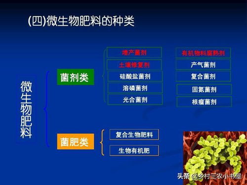 可持續(xù)發(fā)展之光 有機(jī)農(nóng)業(yè)的技術(shù)實(shí)踐與生物質(zhì)能的協(xié)同發(fā)展